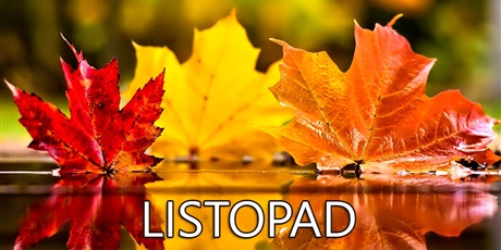 Powiększ grafikę: listopad-w-gwarnym-dworku-719047.jpg