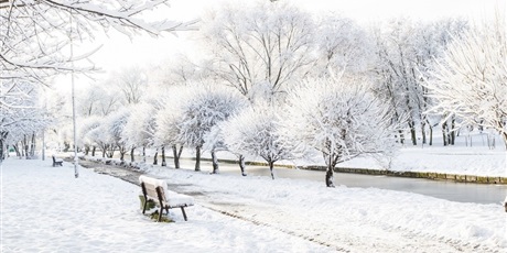 Powiększ grafikę: styczen-w-gwarnym-dworku-668465.jpg