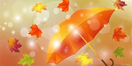 Wystawa jesiennych parasoli