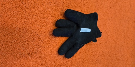 Powiększ grafikę: Ciekawy świat - eksperymenty w Pszczółkach