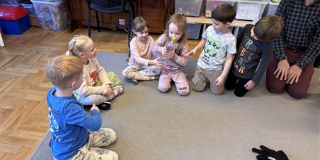 Ciekawy świat -Motylki - luty 2026 