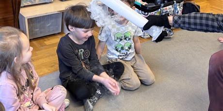 Powiększ grafikę: Ciekawy świat -Motylki - luty 2026