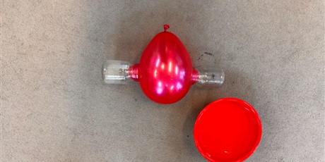 Powiększ grafikę: Ciekawy Świat w  Żuczkach