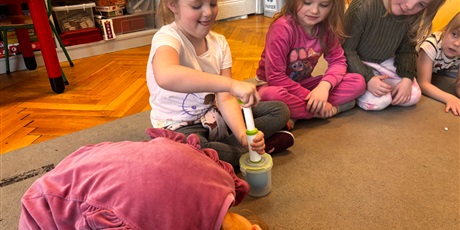 Powiększ grafikę: Ciekawy Świat w  Żuczkach