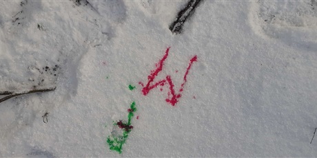 Powiększ grafikę: Eksperymenty na śniegu - Żuczki