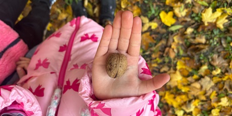 Jesienne zabawy w ogrodzie Żuczków