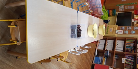 Powiększ grafikę: Kasztankowe warsztaty z rodzicami w Pszczółkach