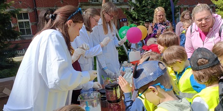 Powiększ grafikę: Motylki na Bałtyckim Festiwalu Nauki