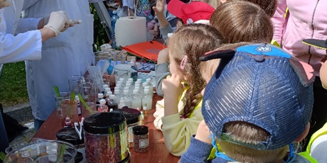 Powiększ grafikę: Motylki na Bałtyckim Festiwalu Nauki