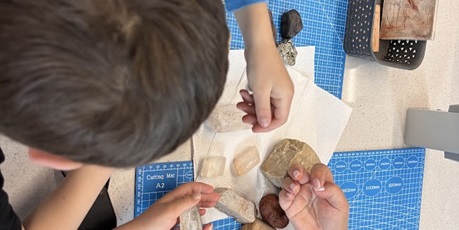 Powiększ grafikę: Motylki na Bałtyckim Festiwalu Nauki