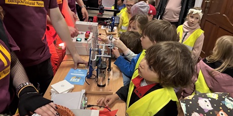 Powiększ grafikę: Motylki na Bałtyckim Festiwalu Nauki