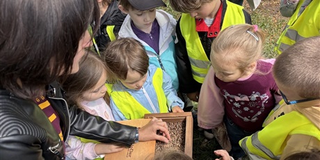 Powiększ grafikę: Motylki na Bałtyckim Festiwalu Nauki