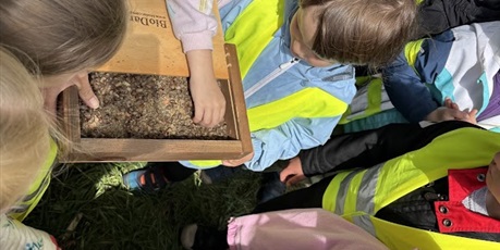 Powiększ grafikę: Motylki na Bałtyckim Festiwalu Nauki