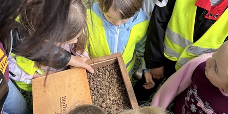Powiększ grafikę: Motylki na Bałtyckim Festiwalu Nauki