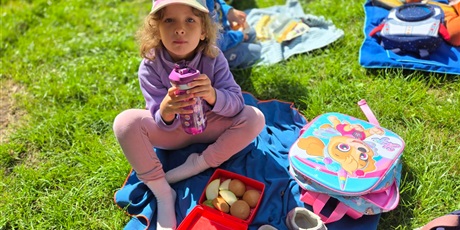 Powiększ grafikę: Obchody Dnia Dziecka - Piknik Pszczółek