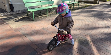 Pszczółki podczas zabaw w ogrodzie