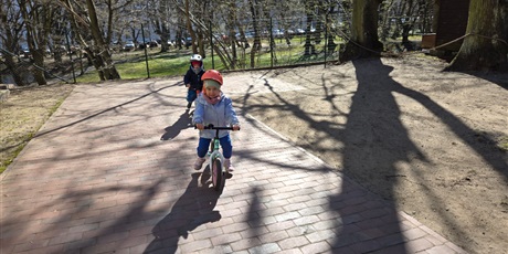 Powiększ grafikę: Pszczółki podczas zabaw w ogrodzie