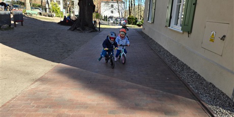 Powiększ grafikę: Pszczółki podczas zabaw w ogrodzie