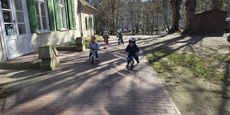 Powiększ grafikę: Pszczółki podczas zabaw w ogrodzie