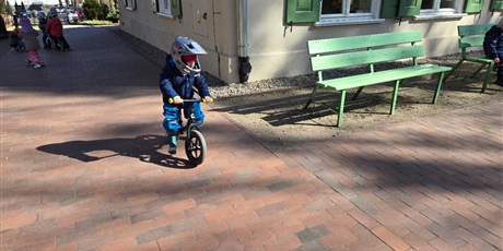 Powiększ grafikę: Pszczółki podczas zabaw w ogrodzie