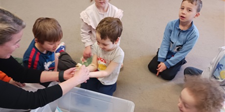 Powiększ grafikę: Spotkanie z kurczaczkami zorganizowane przez mamę Leona