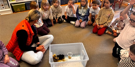 Spotkanie z kurczaczkami zorganizowane przez mamę Igi i Leona