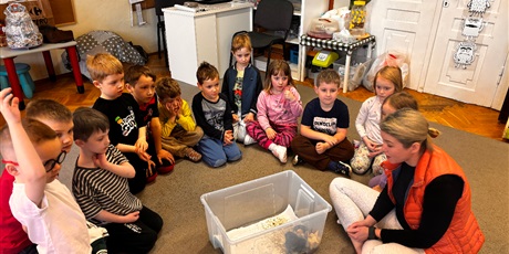 Powiększ grafikę: Spotkanie z kurczaczkami zorganizowane przez mamę Leona