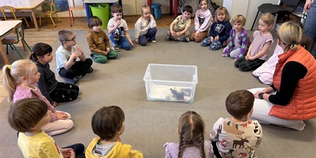 Powiększ grafikę: Spotkanie z kurczaczkami zorganizowane przez mamę Leona