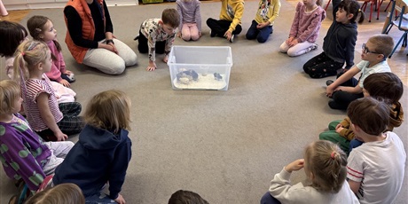 Powiększ grafikę: Spotkanie z kurczaczkami zorganizowane przez mamę Leona