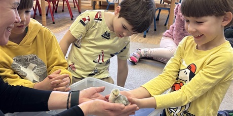 Powiększ grafikę: Spotkanie z kurczaczkami zorganizowane przez mamę Leona