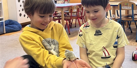 Powiększ grafikę: Spotkanie z kurczaczkami zorganizowane przez mamę Leona