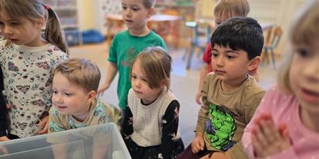 Spotkanie z kurczakami - Pszczółki