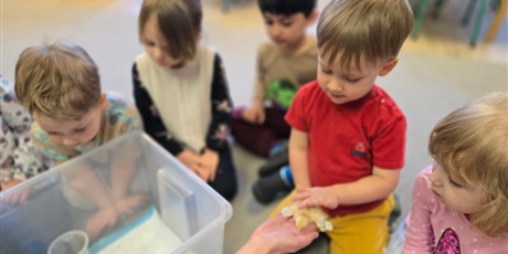 Powiększ grafikę: Spotkanie z kurczakami - Pszczółki