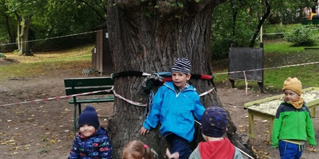 Powiększ grafikę: Święto Drzewa