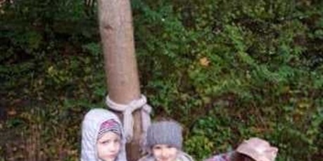 Powiększ grafikę: Święto Drzewa