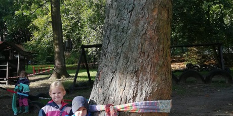 Powiększ grafikę: Święto Drzewa