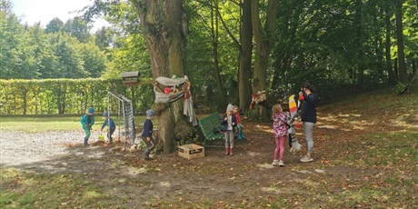 Powiększ grafikę: Święto Drzewa