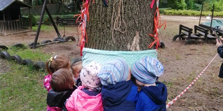 Powiększ grafikę: Święto Drzewa