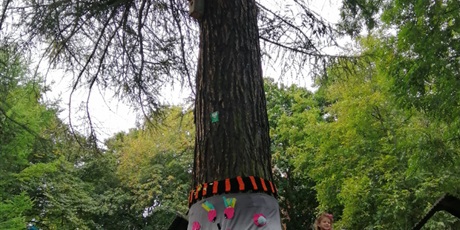 Powiększ grafikę: Święto Drzewa