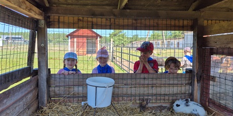 Powiększ grafikę: Wycieczka przedszkolaków na Strusią Farmę w Kniewie 