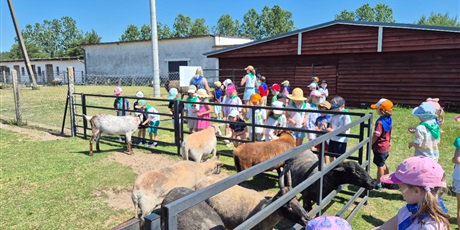 Powiększ grafikę: Wycieczka przedszkolaków na Strusią Farmę w Kniewie 