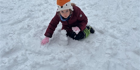 Powiększ grafikę: Zimowe zabawy Żuczków