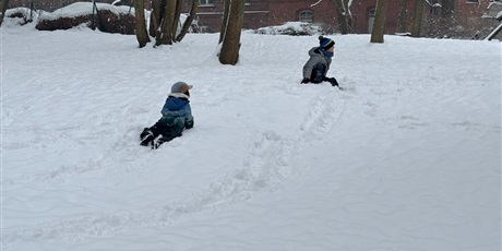 Powiększ grafikę: Zimowe zabawy Żuczków