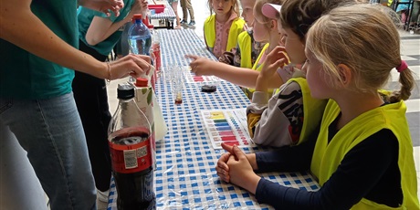 Powiększ grafikę: Żuczki i Motylki na Bałtyckim Festiwalu Nauki