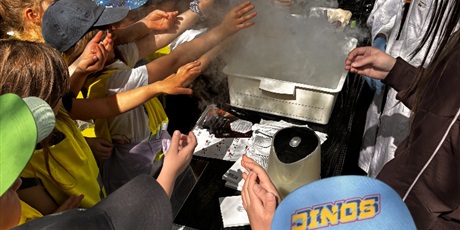 Żuczki na Bałtyckim Festiwalu Nauki 