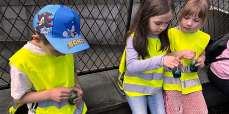 Powiększ grafikę: Żuczki na Bałtyckim Festiwalu Nauki 